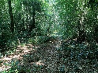 Foto 5 de VENTA de LOTES para EMPRENDIMIENTO TURISTICO/  y otro INDUSTRIAL