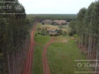 Foto 1 de Campo en venta de 561 has en Virasoro, Corrientes