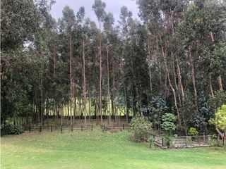 Foto 27 de TABIO, rio frio oriental, 3.000 M2, 380 m2 const