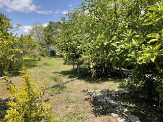 Foto 37 de Quinta en venta en Puembo: 2,500 m² de terreno ideal para tu proyecto o descanso