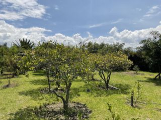 Foto 40 de Quinta en venta en Puembo: 2,500 m² de terreno ideal para tu proyecto o descanso