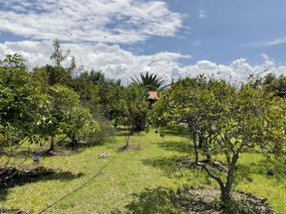 Foto 39 de Quinta en venta en Puembo: 2,500 m² de terreno ideal para tu proyecto o descanso
