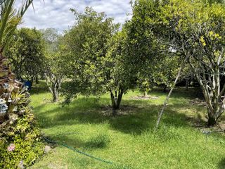 Foto 46 de Quinta en venta en Puembo: 2,500 m² de terreno ideal para tu proyecto o descanso