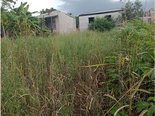 Foto 3 de Terreno en Barrio Obrero- Wanda - Mnes