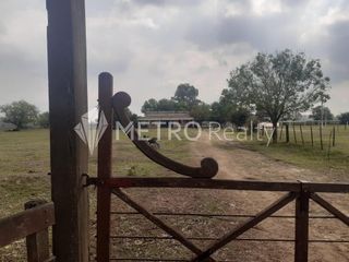 Foto 6 de Campo en Venta de 99 hectareas  en Zarate