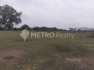 Foto 3 de Campo en Venta de 99 hectareas  en Zarate