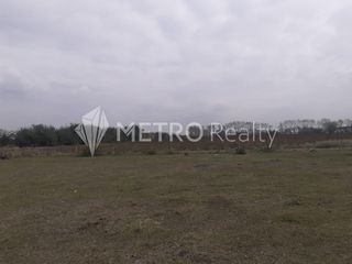 Foto 5 de Campo en Venta de 99 hectareas  en Zarate