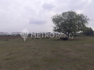 Foto 4 de Campo en Venta de 99 hectareas  en Zarate