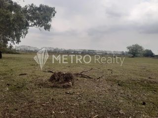 Foto 2 de Campo en Venta de 99 hectareas  en Zarate