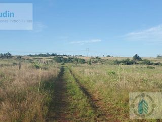 Foto 4 de Se venden 14 Hectáreas zona Barrio San Isidro  Posadas