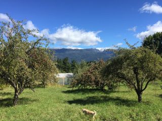 Foto 4 de Chacra en  Villa Turismo - El Bolson