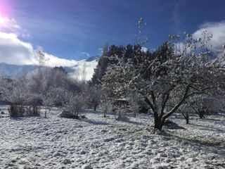 Foto 8 de Chacra en  Villa Turismo - El Bolson