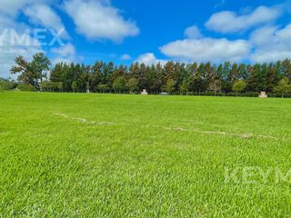 Foto 8 de VENTA DE TERRENO EN EL BARRIO NAUTICO SAN JUAN