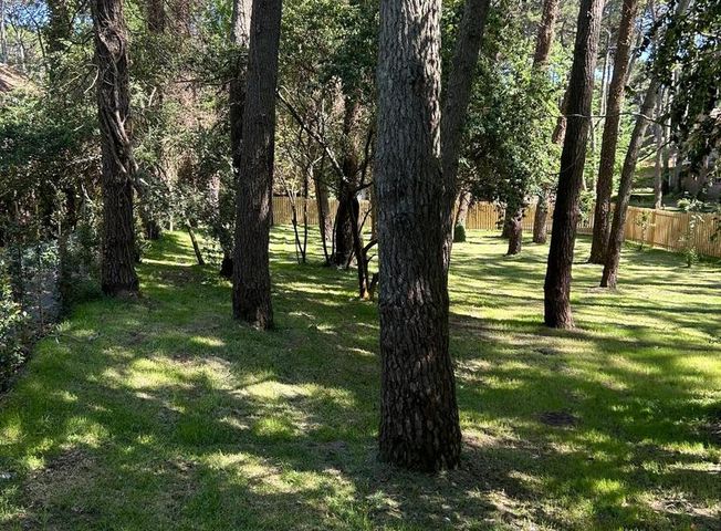 place photo 44