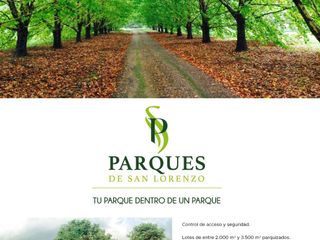 Foto 7 de PARQUES DE SAN LORENZO