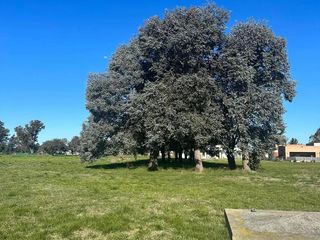 Foto 14 de Terrenos en venta - 1.132mts2 - La Victoria, Área 60, La Plata