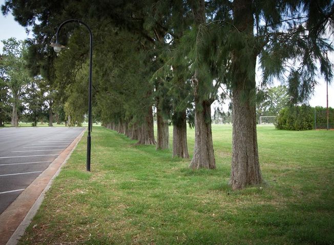 place photo 13