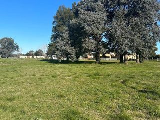 Foto 15 de Terrenos en venta - 1.132mts2 - La Victoria, Área 60, La Plata