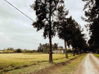 Foto 6 de Terreno en venta - 7.916Mts2 - Coronel Brandsen