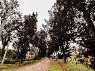 Foto 5 de Terreno en venta - 7.916Mts2 - Coronel Brandsen