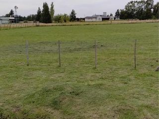 Foto 13 de Terreno en venta - 7.916Mts2 - Coronel Brandsen