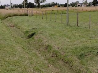 Foto 11 de Terreno en venta - 7.916Mts2 - Coronel Brandsen