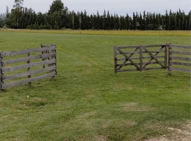 place photo 10