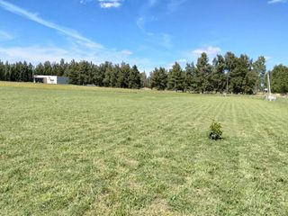 Foto 12 de Terreno en venta - 7.916Mts2 - Coronel Brandsen