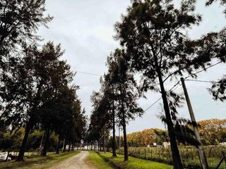 Foto 2 de Terreno en venta - 7.916Mts2 - Coronel Brandsen