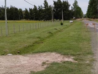 Foto 14 de Terreno en venta - 7.916Mts2 - Coronel Brandsen