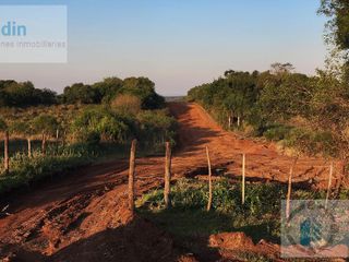Foto 47 de Se venden lotes en  Candelaria zona Reserva Natural Urutau