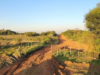 Foto 45 de Se venden lotes en  Candelaria zona Reserva Natural Urutau