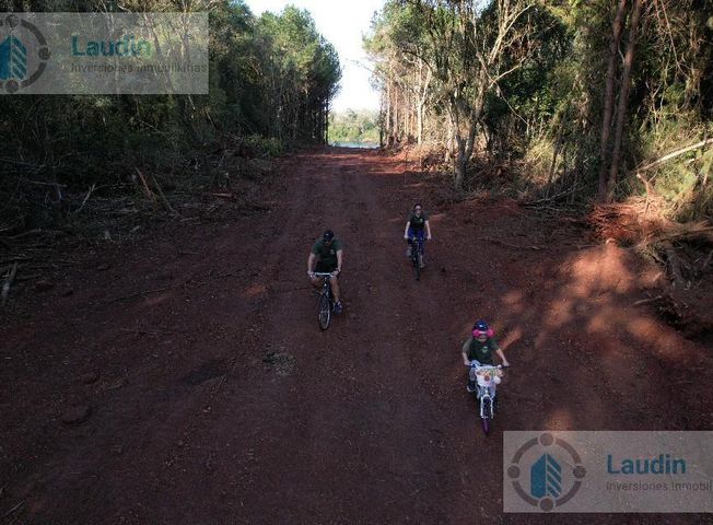 place photo 22