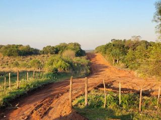 Foto 42 de Se venden lotes en  Candelaria zona Reserva Natural Urutau