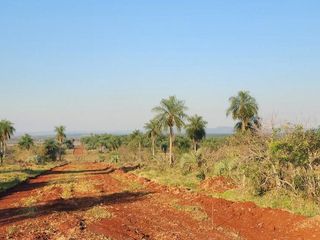 Foto 40 de Se venden lotes en  Candelaria zona Reserva Natural Urutau