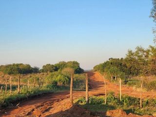 Foto 44 de Se venden lotes en  Candelaria zona Reserva Natural Urutau