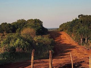 Foto 43 de Se venden lotes en  Candelaria zona Reserva Natural Urutau