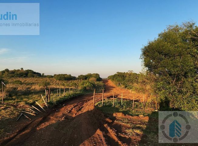 place photo 33
