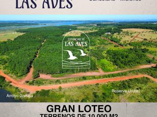 Foto 5 de Se venden lotes en  Candelaria zona Reserva Natural Urutau
