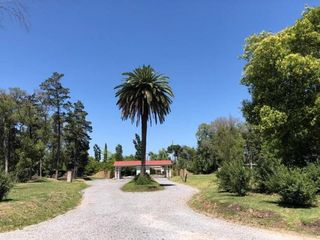 Foto 5 de Terreno en venta - 522Mts2 - Pilar