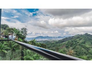 Foto 7 de SE VENDE FINCA EN PEREIRA VEREDA GUACARI