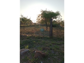 Foto 4 de VENTA-LOTE 645M2- VILLA DEL TOTORAL