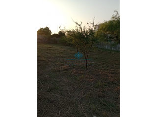 Foto 3 de VENTA-LOTE 645M2- VILLA DEL TOTORAL