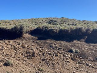 Foto 7 de Terreno en venta - 572Mts2 - Los Manzanos, San Martín de Los Andes