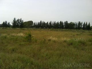 Foto 3 de Terreno de 13.481 m2 a 150 m de la Panamericana