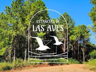 Foto 41 de Estancia de la Aves lotes de 1 ha  zona reserva Natural Urutau Candelaria