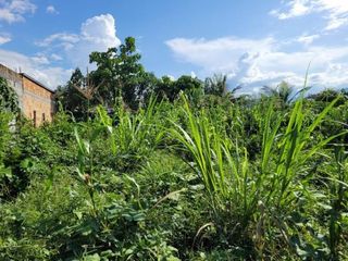 Foto 2 de En Venta Terreno Frente a Calle en Moyobamba- San Martín