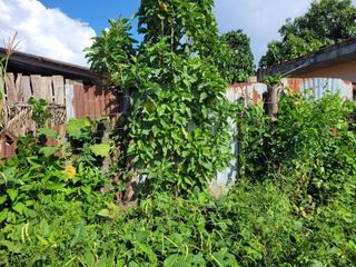 Foto 4 de En Venta Terreno Frente a Calle en Moyobamba- San Martín