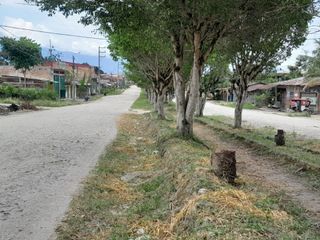 Foto 8 de En Venta Terreno Frente a Calle en Moyobamba- San Martín