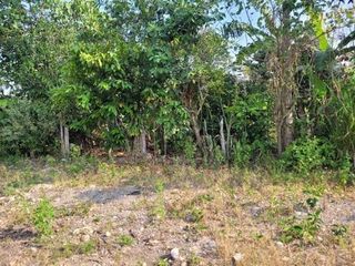 Foto 15 de En venta amplia casa en Moyobamba-San Martín